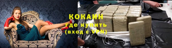 ешки Корсаков