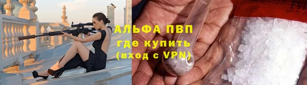 ешки Корсаков