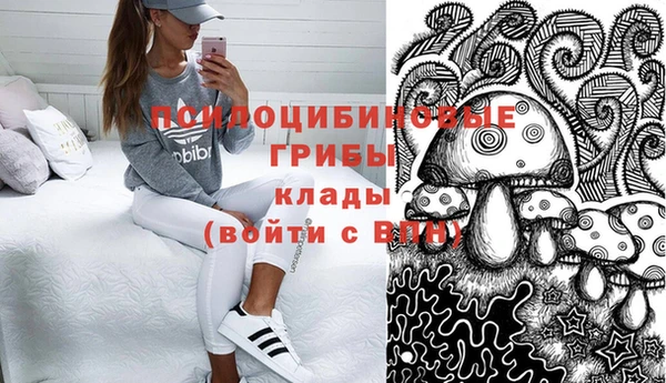 ешки Корсаков