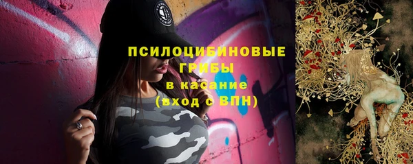 ешки Корсаков