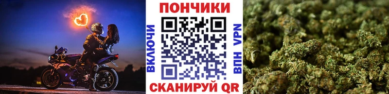 Бошки Шишки ГИДРОПОН  Купить где  Бабушкин 